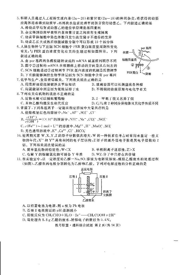 2018届四川省广安、眉山、内江、遂宁高三第三次诊断性考试理科综合试题 PDF版02