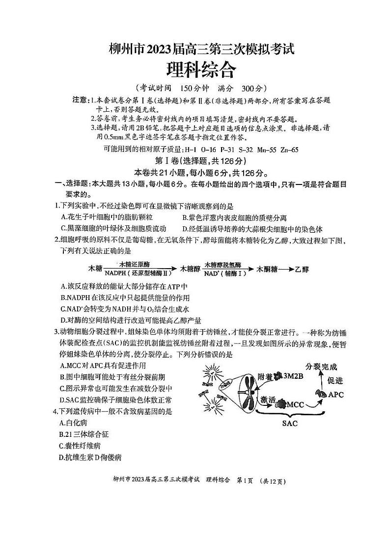 2023柳州高三下学期三模理综试题扫描版含答案01