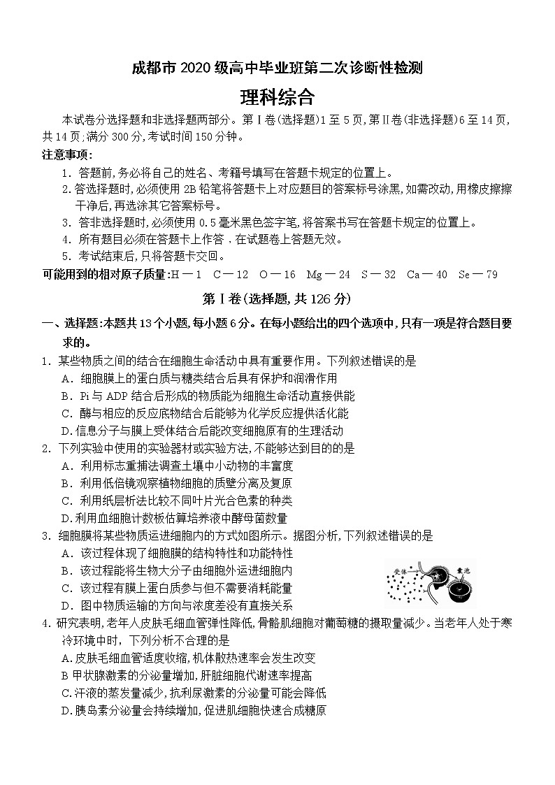 2023成都高三下学期二模理综试题含答案01