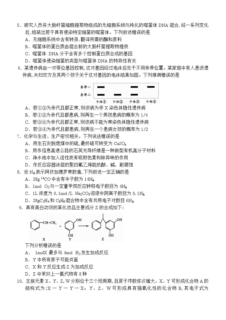 2023成都高三下学期二模理综试题含答案02