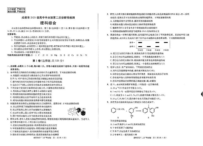 四川省成都市2022-2023学年高三下学期二模理综试题PDF版无答案第1页