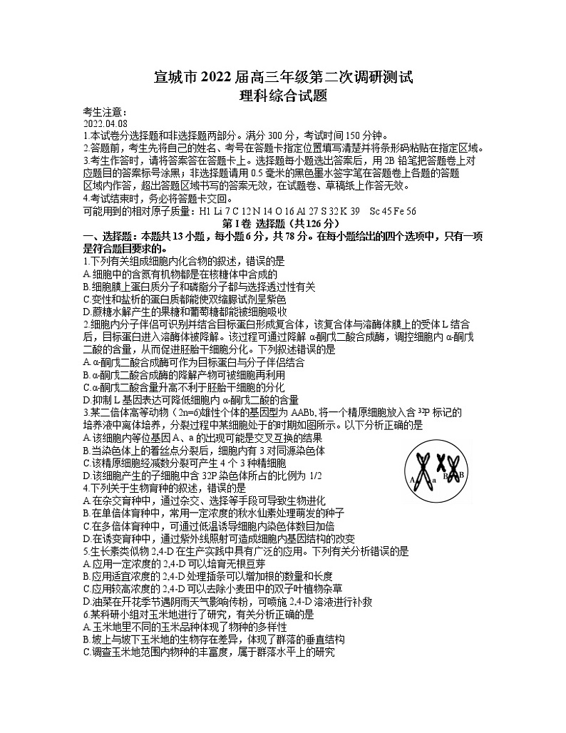 2022届安徽省宣城市高三下学期第二次调研测试（二模）理综试题 word版01