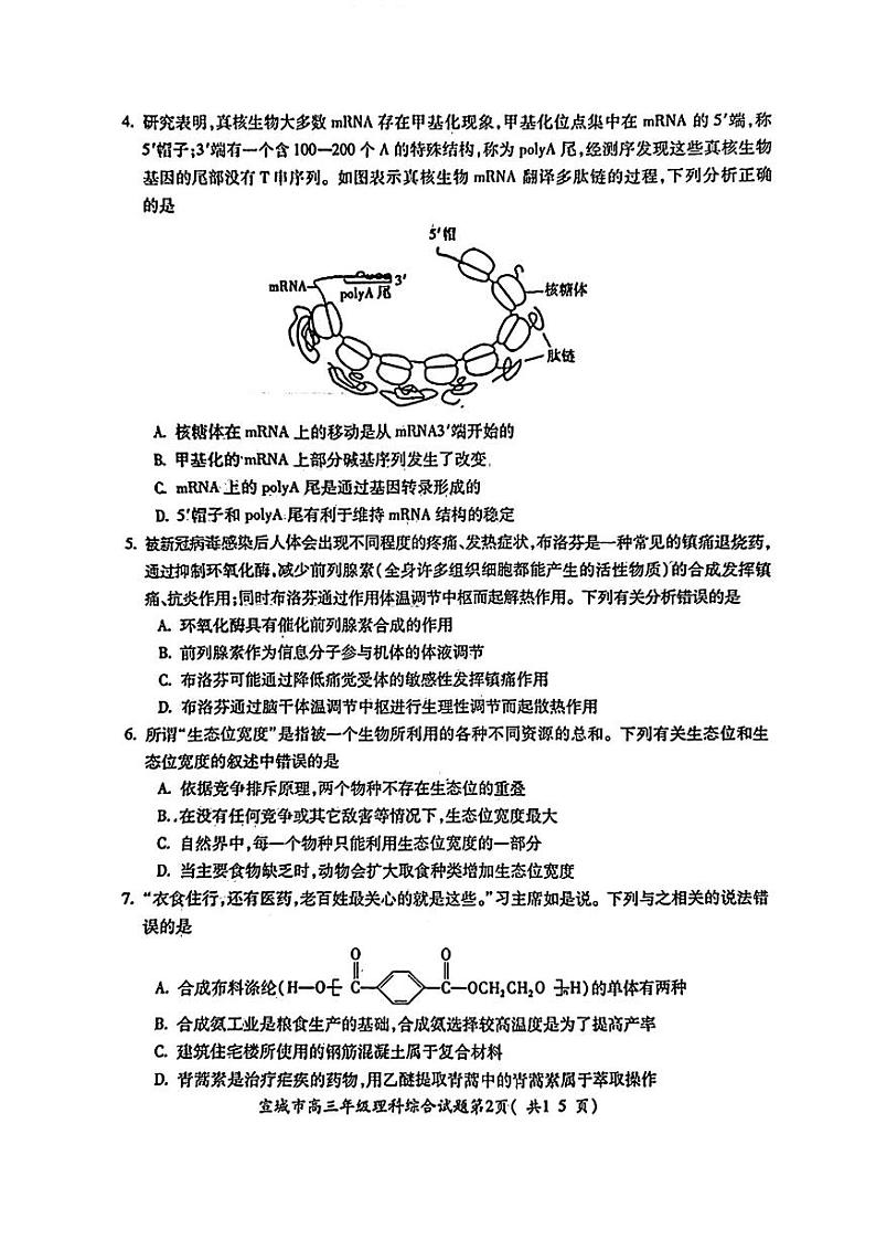 2023届安徽省宣城市高三下学期第二次调研测试 理综 PDF版02