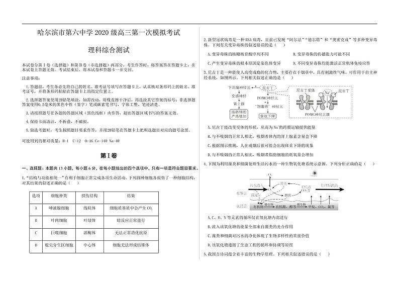 黑龙江省哈尔滨市2022-2023学年第六中学高三下学期第一次模拟考试理综试卷无答案01