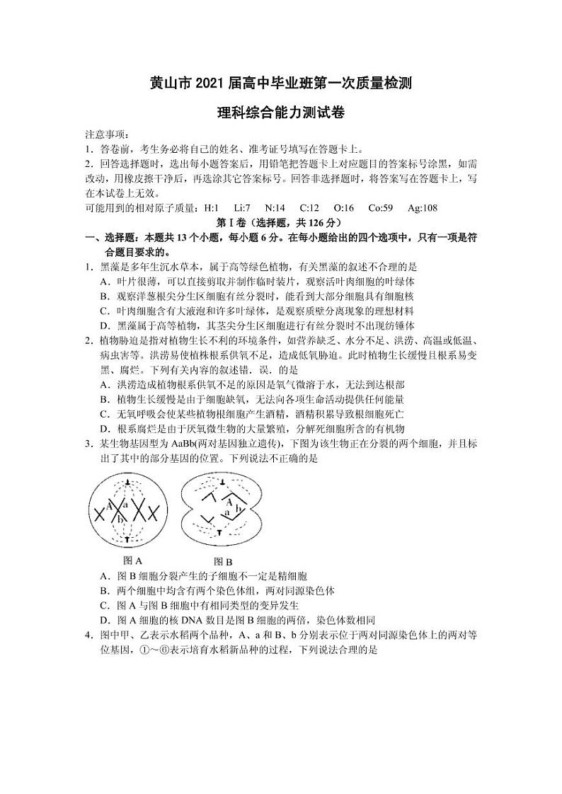 2021届安徽省黄山市高三第一次质量检测理综试题 PDF版01