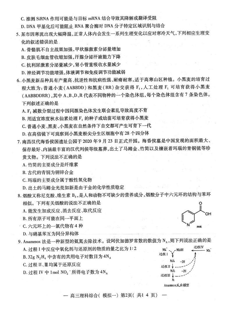 2021届江西省南昌市高三下学期一模考试理综试题 PDF版02