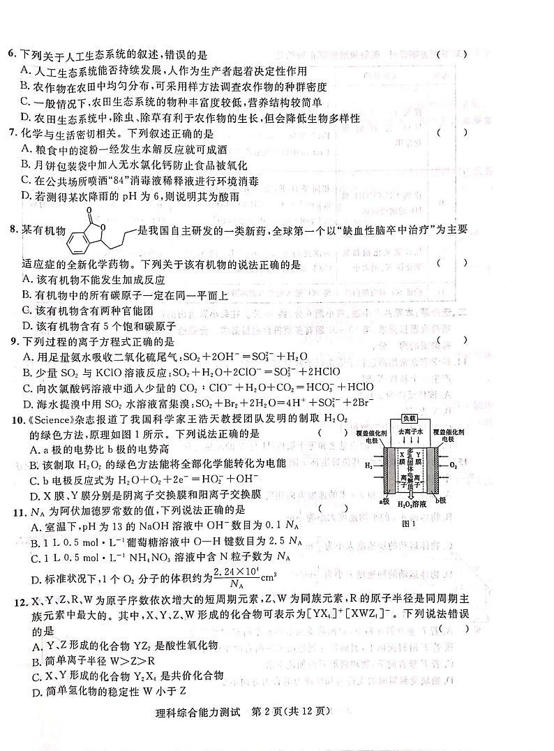广西柳州高级中学、南宁市第三中学2022-2023学年高三下学期4月联考试题  理综   PDF版含答案02