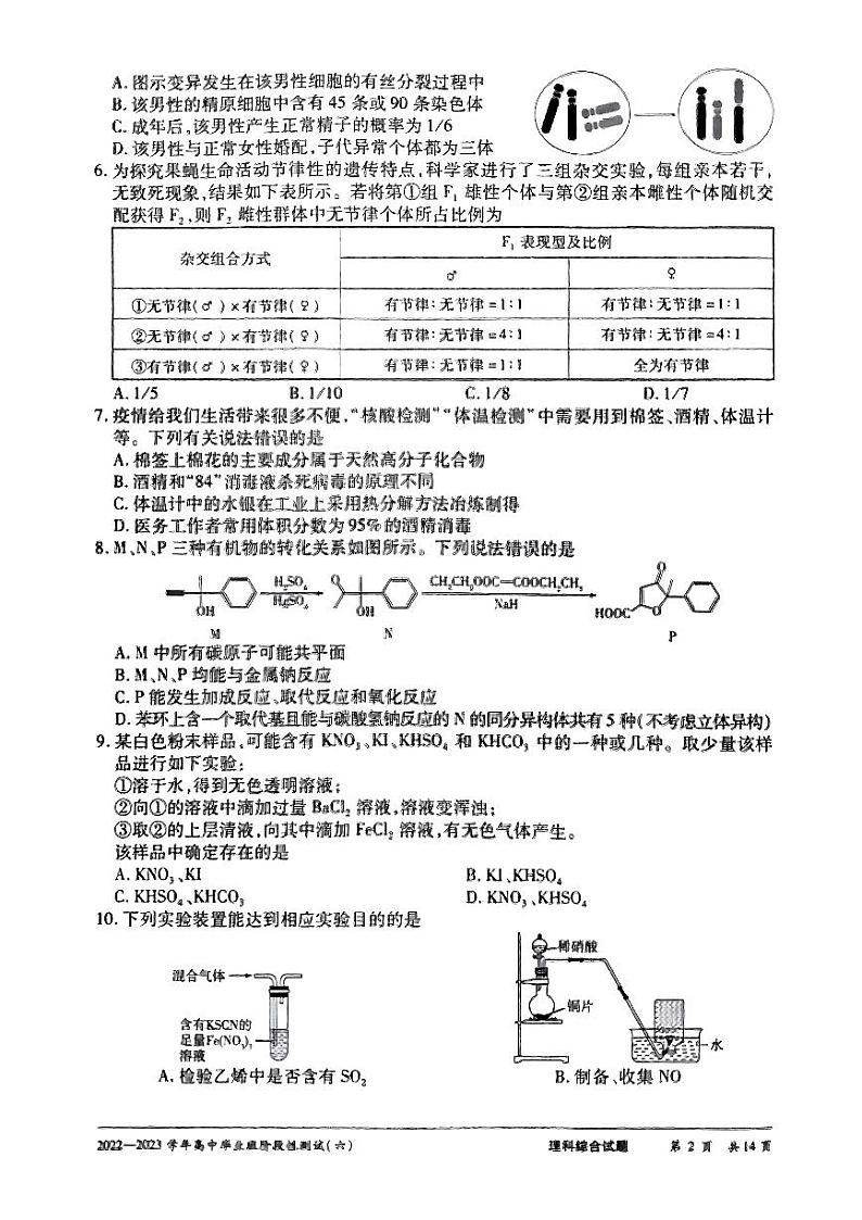 河南省天一大联考2022-2023学年高三下学期阶段性测试（六）三模理综试题02