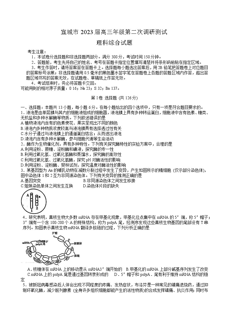2023届安徽省宣城市高三第二次调研测试理科综合试题(含答案)01