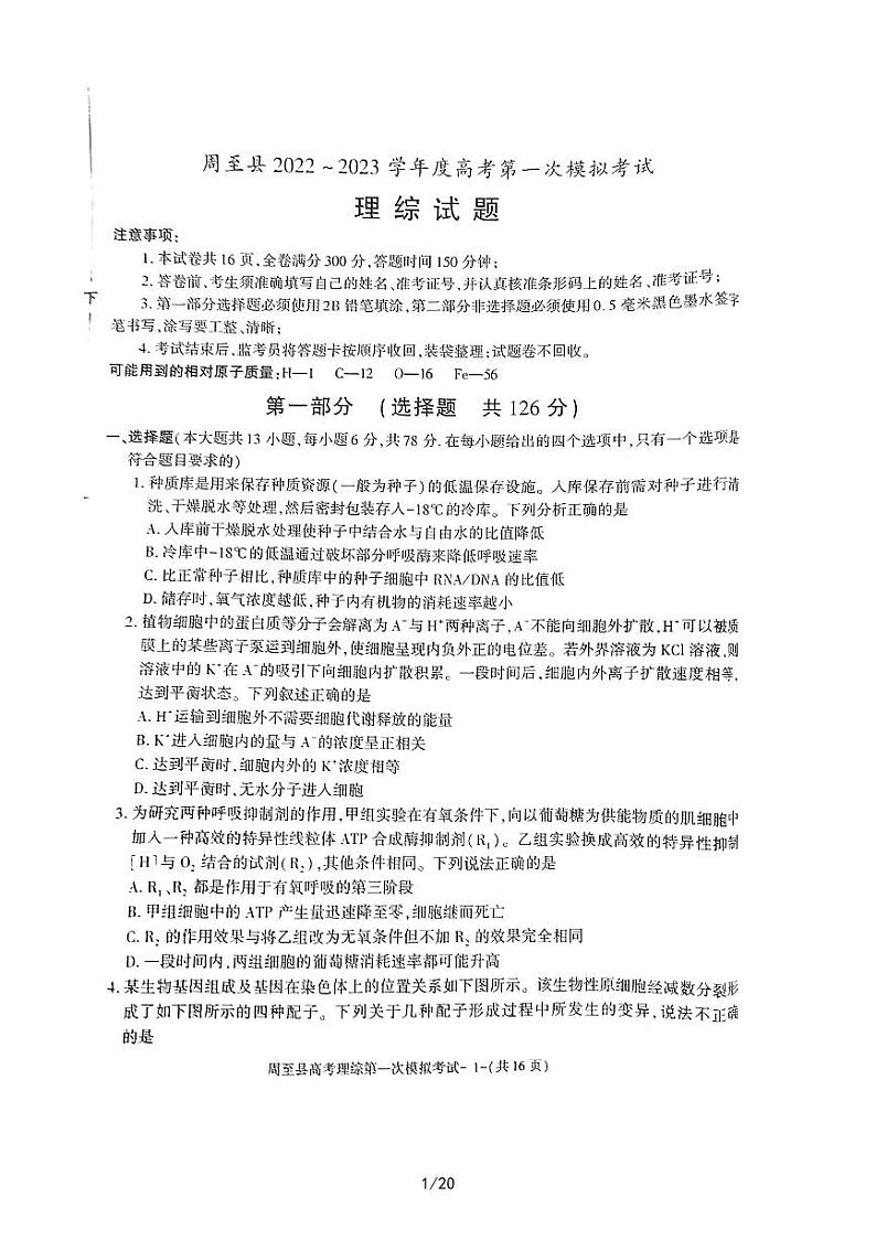 2022-2023学年陕西省西安市周至县高三第一次模拟考试理综 PDF版01