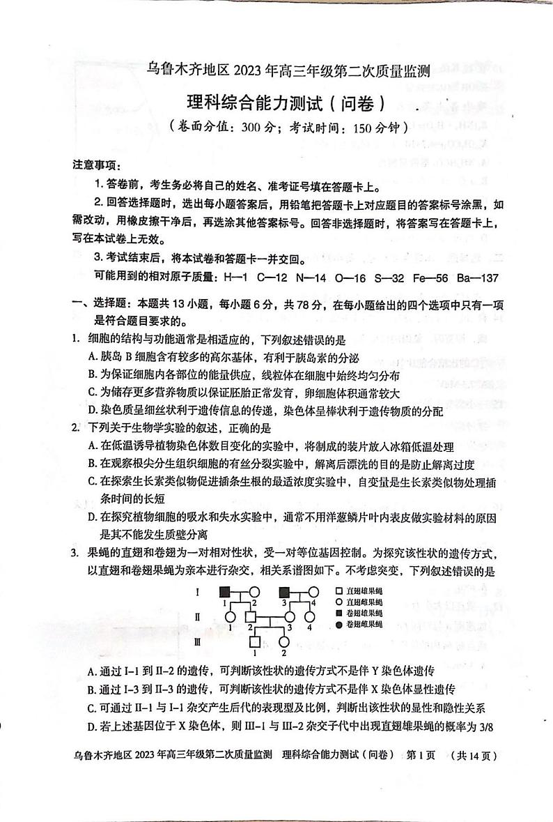 2023届新疆维吾尔自治区乌鲁木齐市第二次质量检测理综试题01