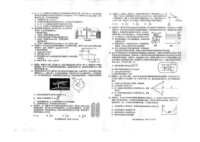 2023届广西壮族自治区玉林市三模理科综合第2页