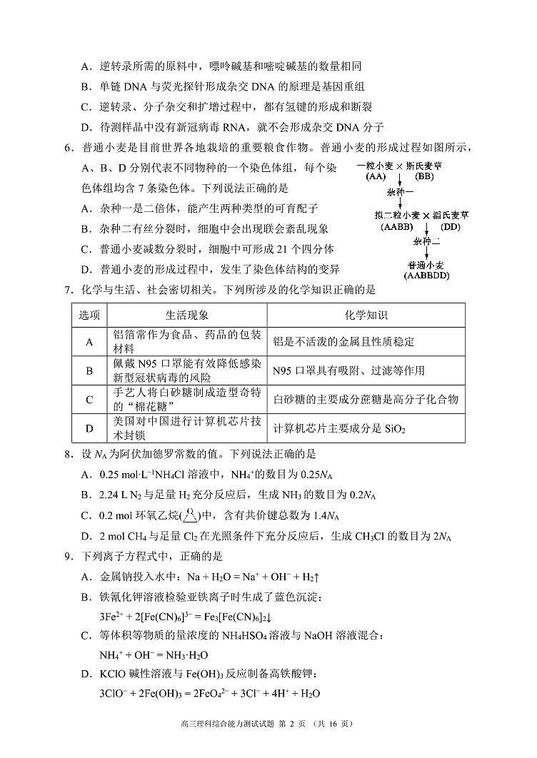 2022-2013学年四川省成都市蓉城名校联盟第二次联考理科综合试题第2页
