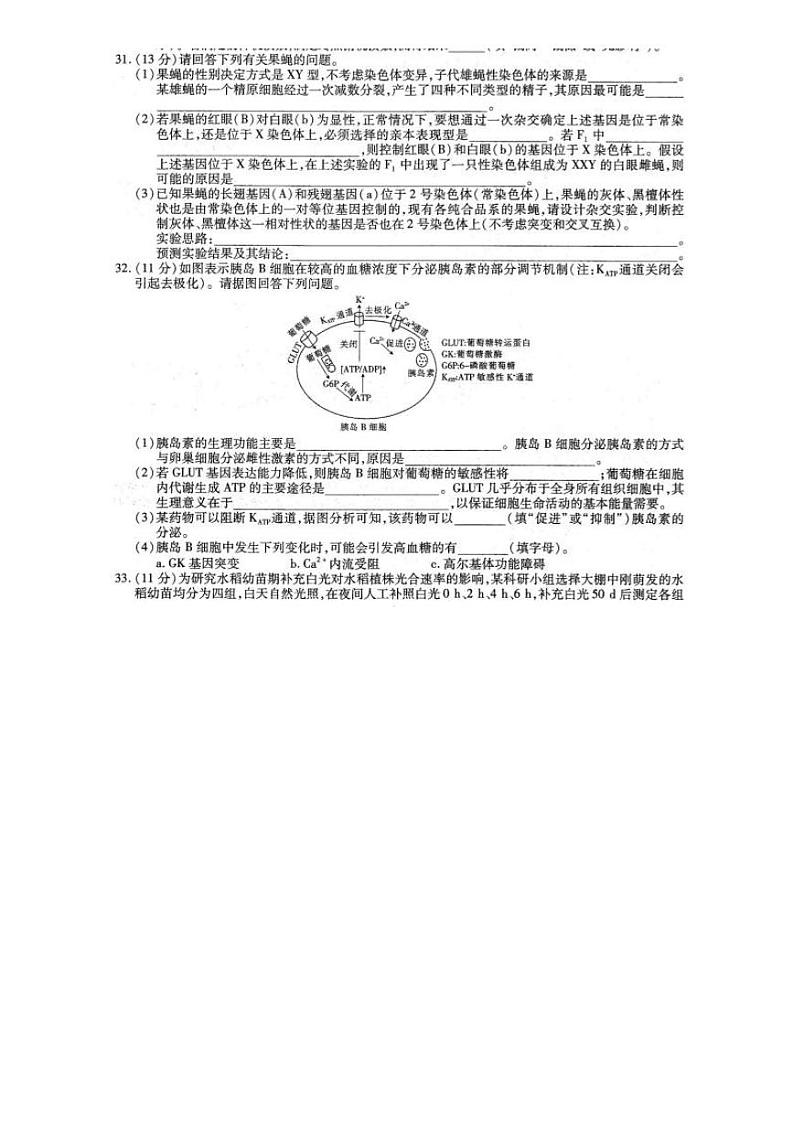 2020届江西省高三上学期第三次大联考生物试题 PDF版第2页