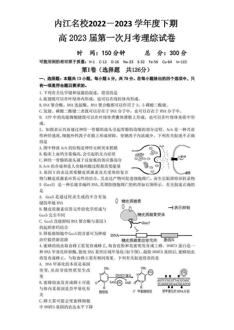 内江市名校2022-2023学年高三下学期3月第一次月考理科综合第1页