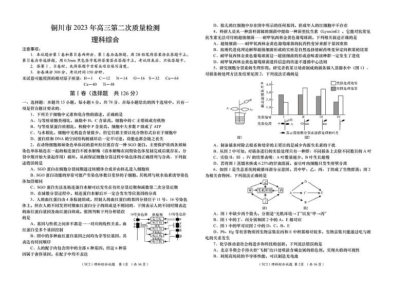 2022-2023学年陕西省铜川市高三下学期第二次模拟考试 理综 PDF版01