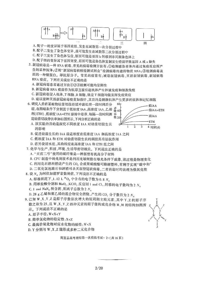 2022-2023学年陕西省西安市周至县高三第一次模拟考试理综 PDF版02