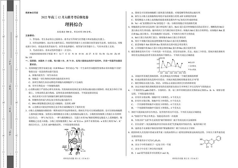 河南省部分校2022-2023学年高三12月大联考考后强化理科综合试题第1页
