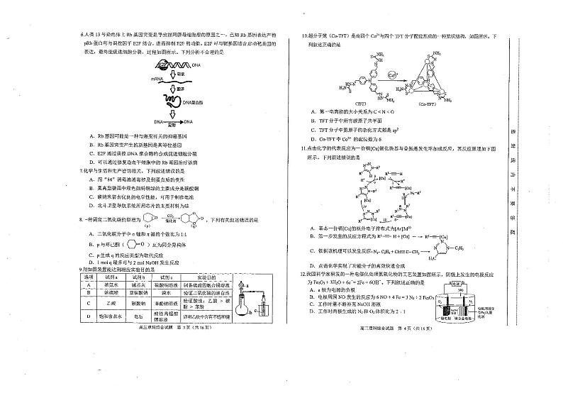 2023届安徽省合肥市高三下学期第二次教学质量检测 理综 PDF版02
