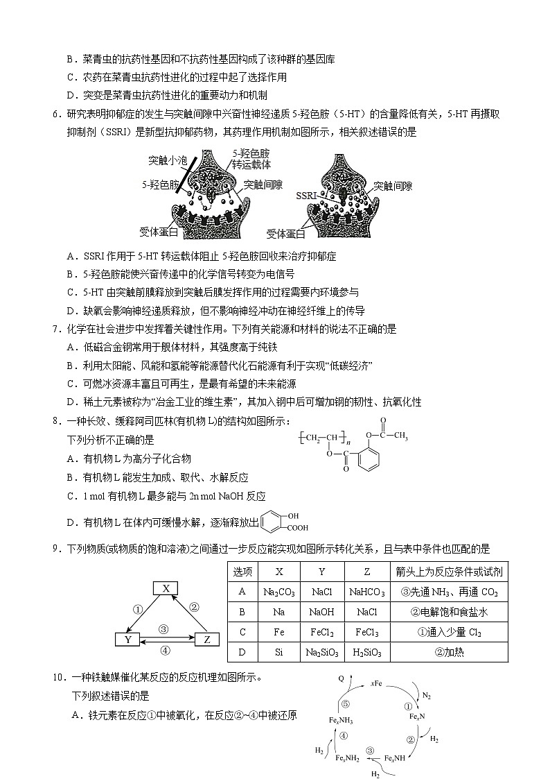2023届普通高等学校招生全国统一考试第二次模拟考试理综试卷第2页