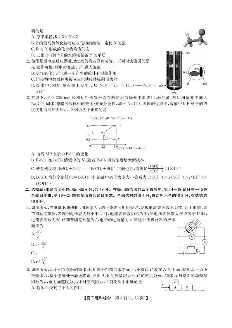 2022届河南省濮阳市（一模）高三下学期第一次模拟考试理科综合试题（PDF版含答案）第3页