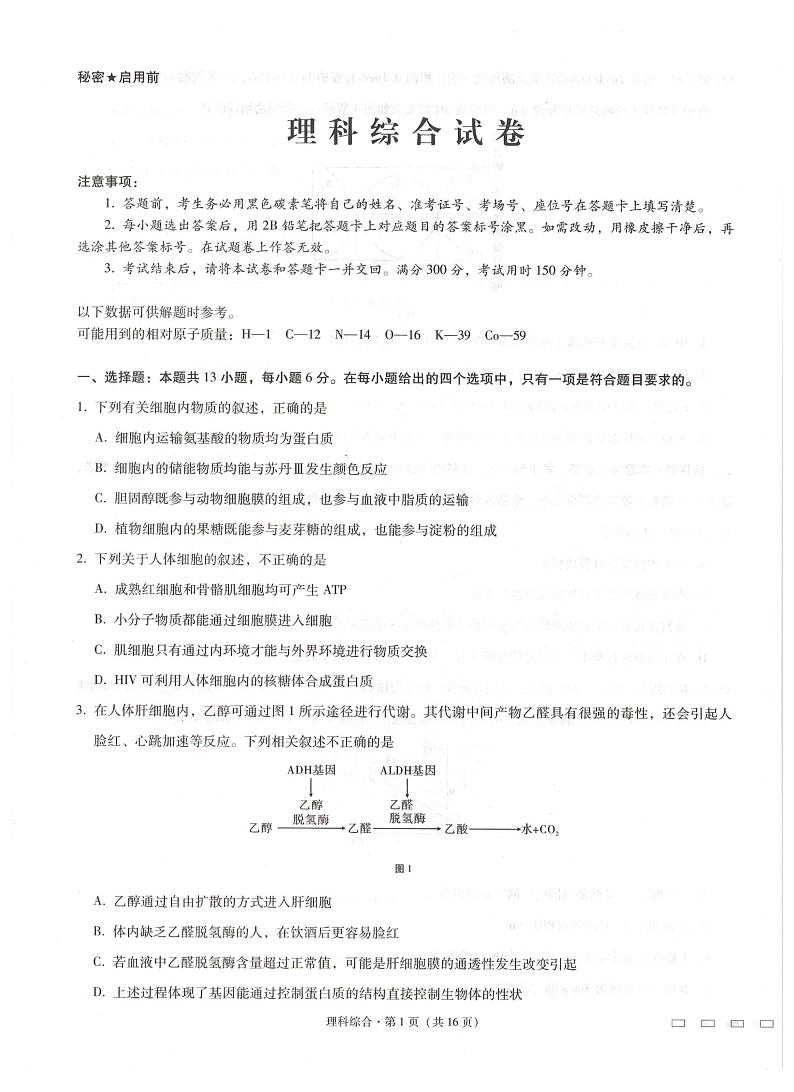 2021届西南名校联盟高三下学期4月高考适应性考试理综试题 PDF版01