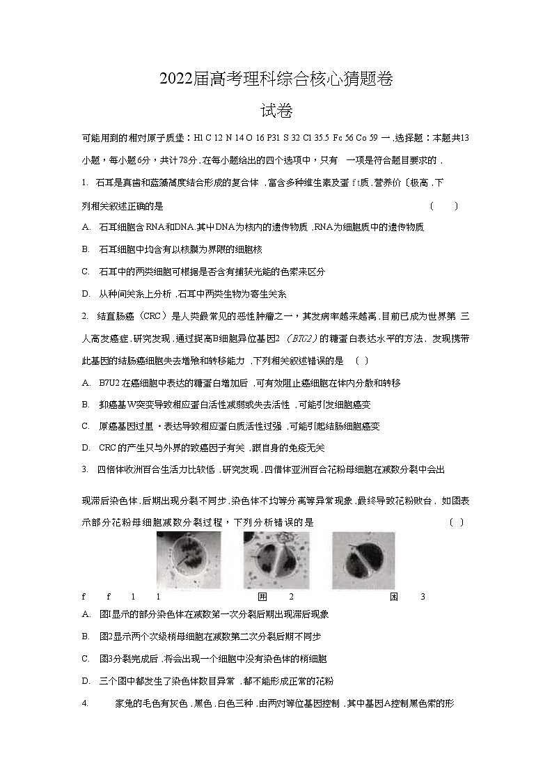 2022高考核心猜题卷理综试卷及答案_00第1页