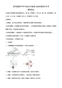 2022-2023学四川省南充市阆中中学高三下学期4月理综物理试题（解析版）