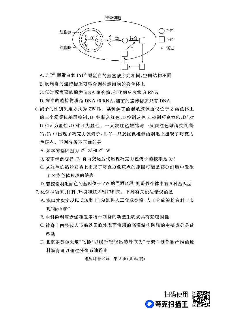 2023届湘豫名校联考高三第三次模拟考试（5月）理科综合试题第3页
