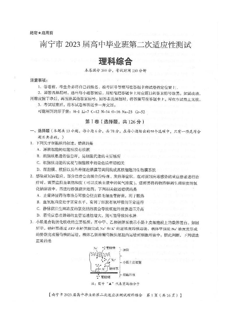 广西南宁市2023届高三下学期第二次适应性测试（二模）+理综+PDF版无答案第1页