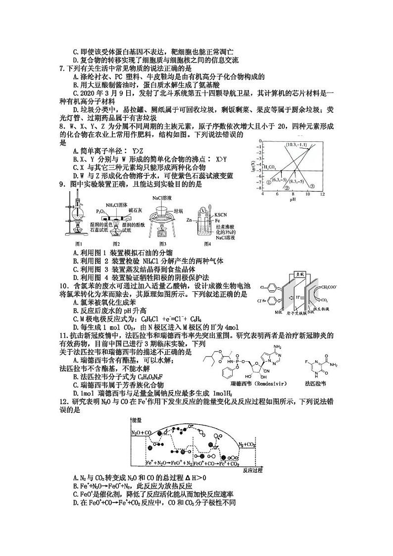 2021届四川省射洪市高三下学期5月高考考前模拟测试理科综合试题 PDF版02
