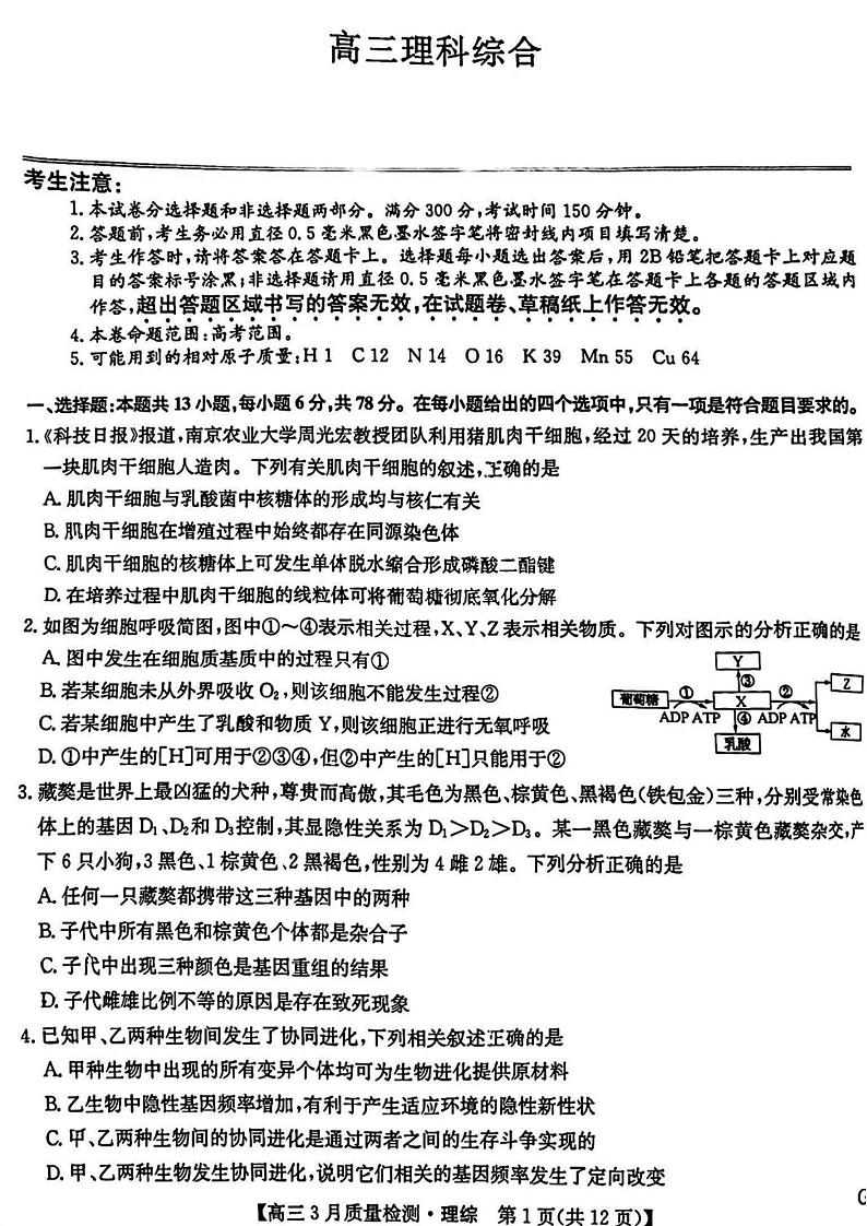 2023九师联盟3月质量检测XG（新教材老高考理综试卷01