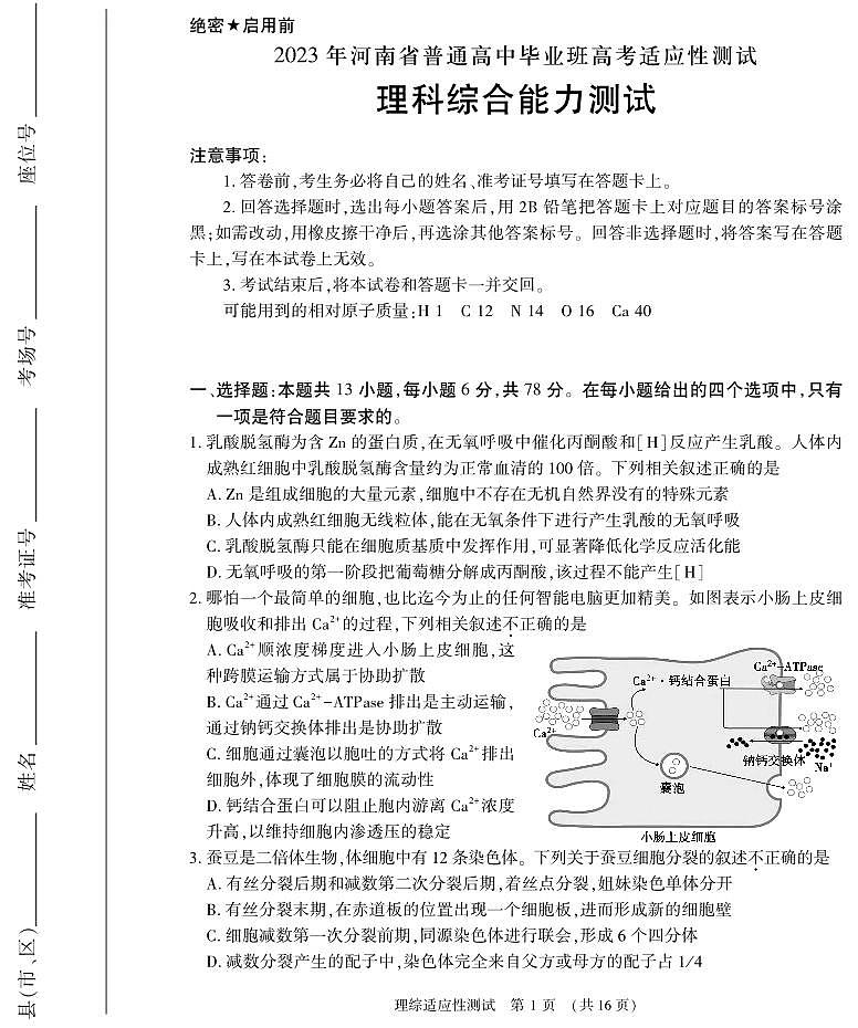 2023届河南省普通高中毕业班高考适应性考试理综试题PDF版含答案01