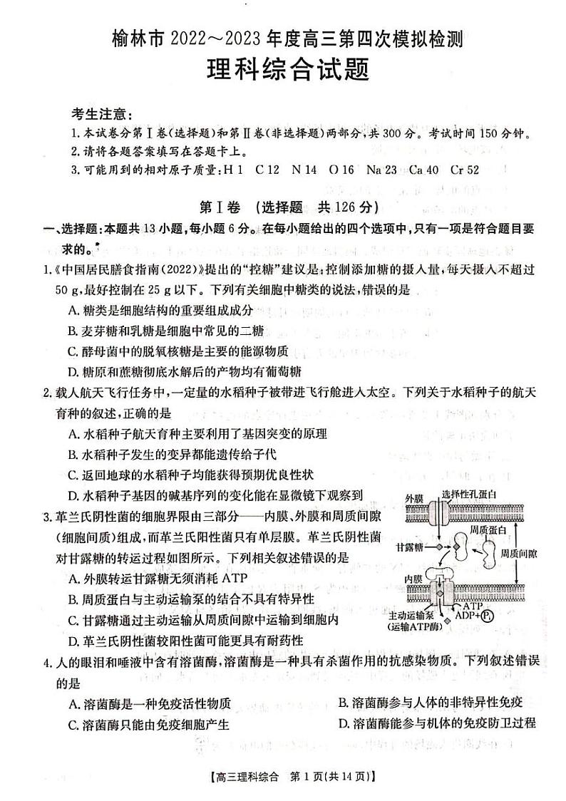 2023届陕西省榆林市高三下学期第四次模拟考试理综PDF版含答案01
