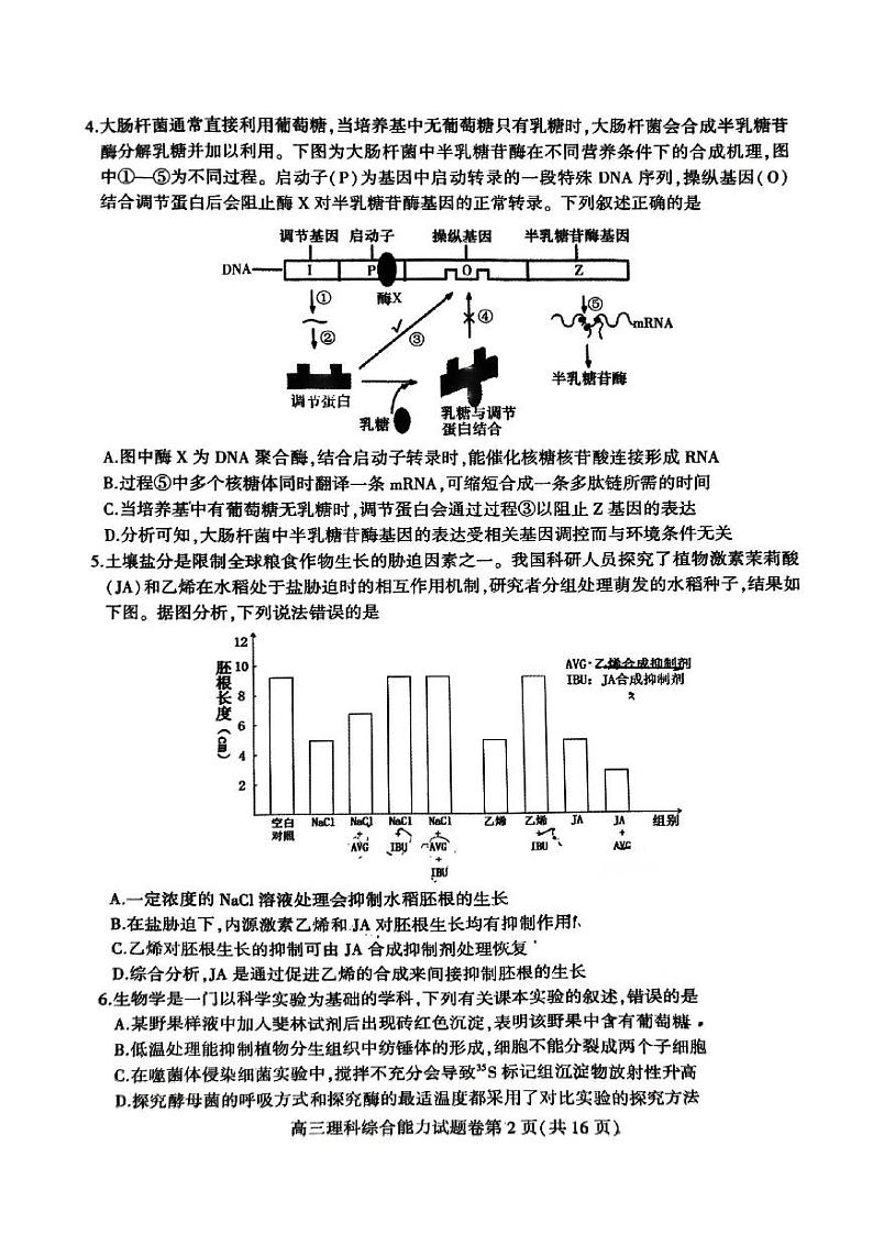 2023届安徽省淮北市高三下学期二模试题理综PDF版含答案02
