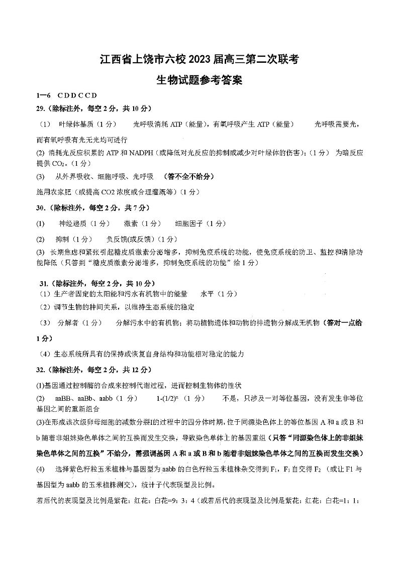 参考答案第1页