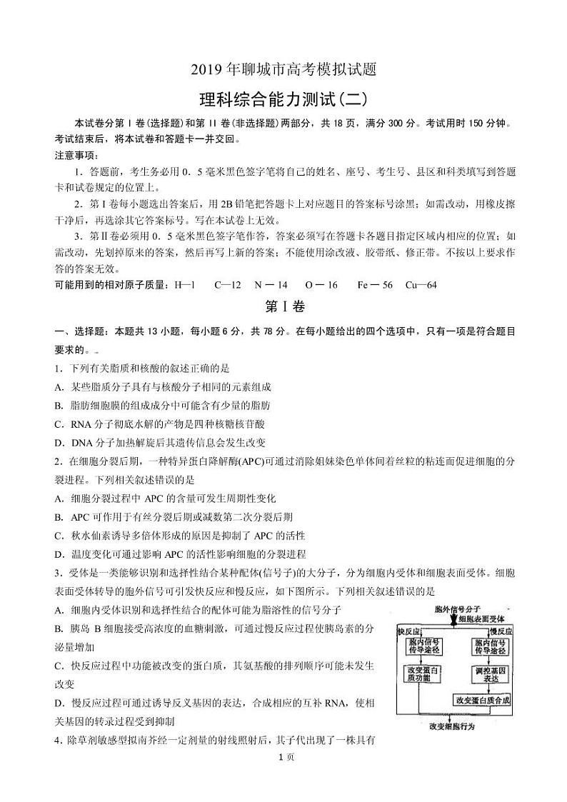 2019届山东省聊城市高三4月份第二次模拟考试（理综）（PDF版）第1页