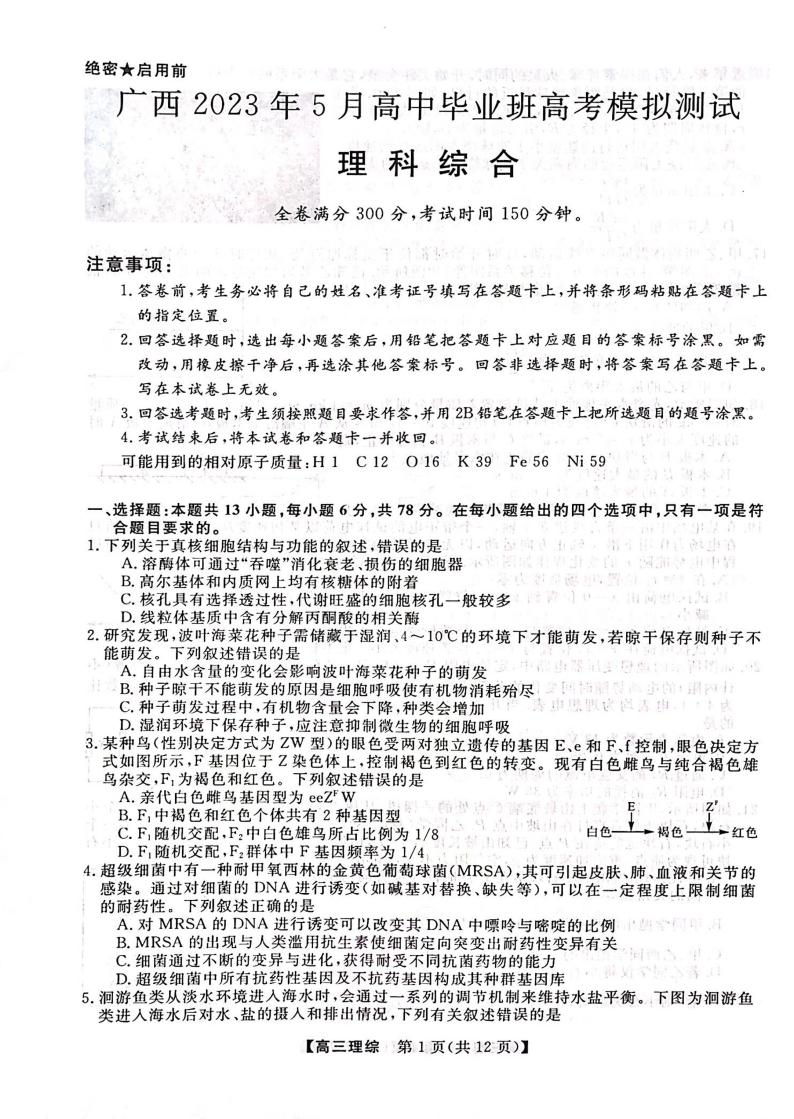 广西2023年5月高中毕业班高考模拟测试理科综合01