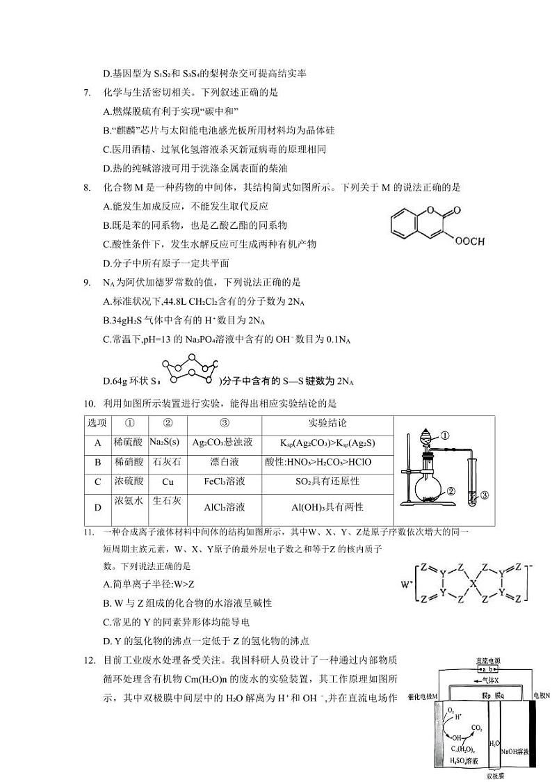 2023届河南省新未来普通高等学校全国统一模拟招生考试5月联考 理综第3页