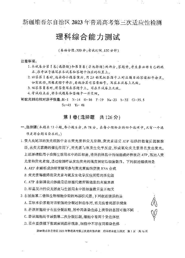 2023届新疆维吾尔自治区高三第三次适应性检测 理综01