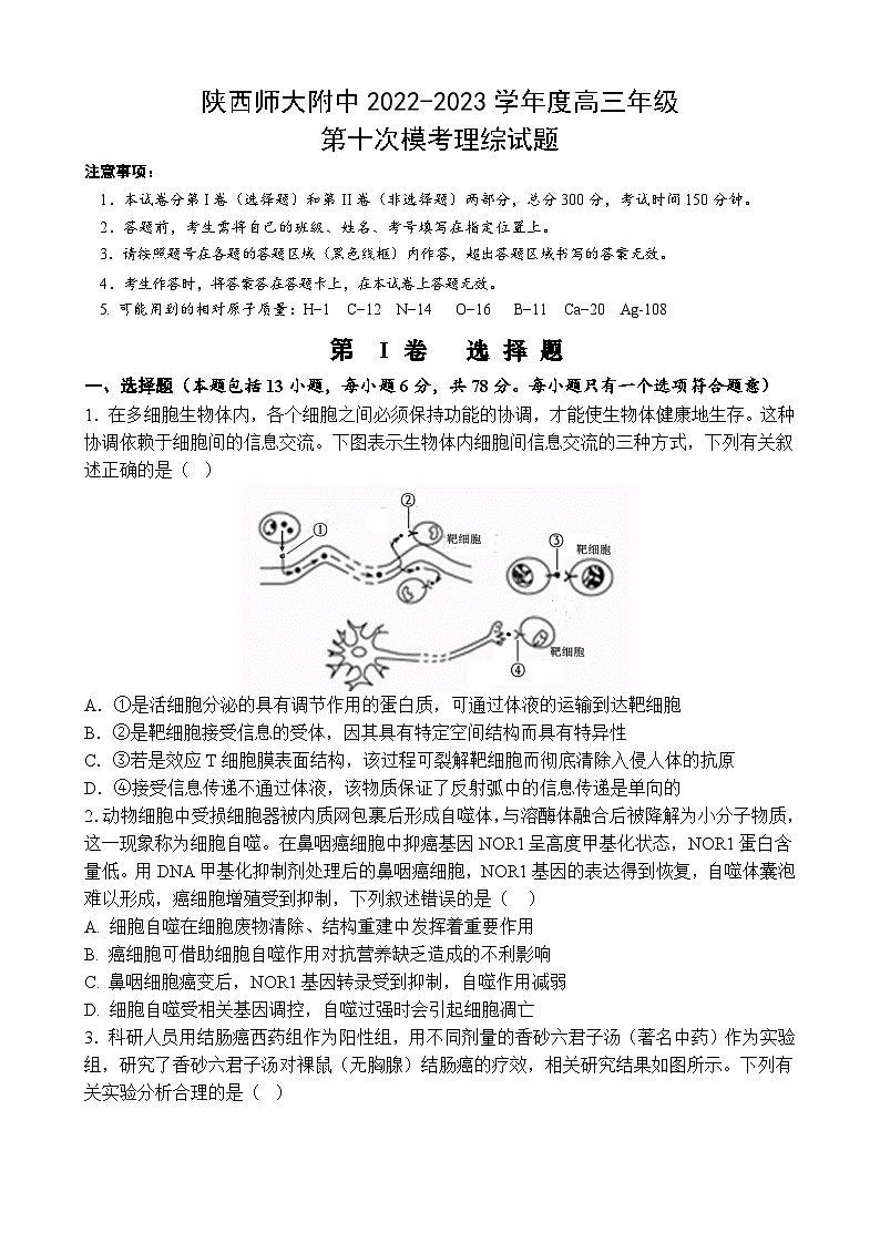 2023届陕西省西安市陕西师范大学附属中学高三三模理综试题01