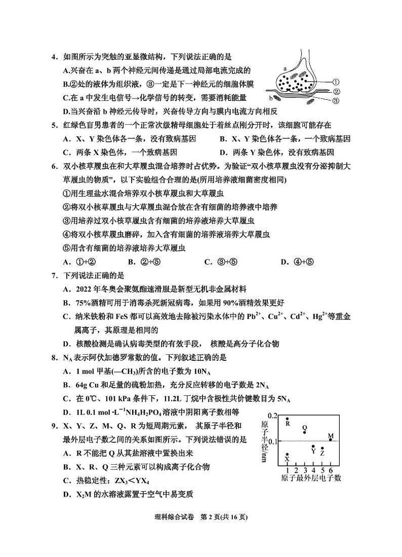 2020届宁夏回族自治区银川一中高三第四次模拟考试理科综合试题 PDF版02