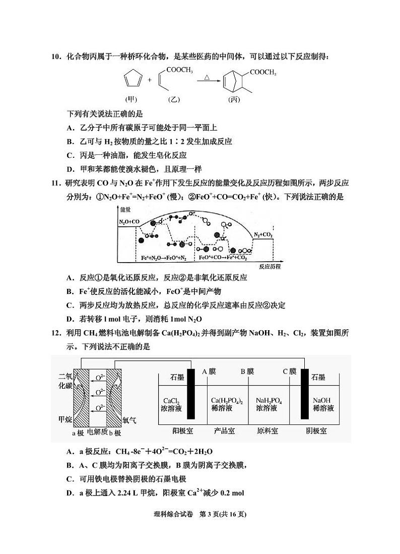 2020届宁夏回族自治区银川一中高三第四次模拟考试理科综合试题 PDF版03