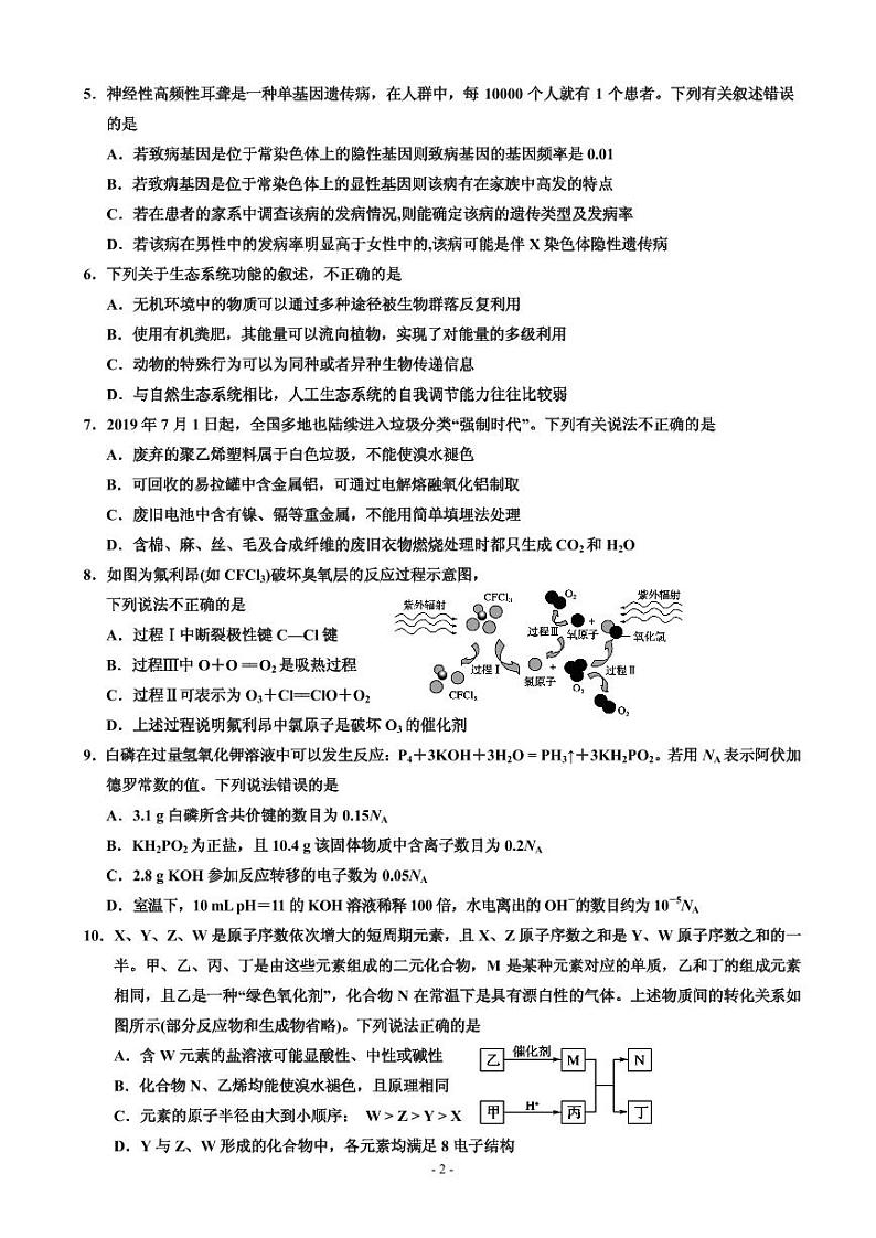 2020届宁夏回族自治区银川一中高三下学期第五次模拟考试理科综合试题 PDF版02