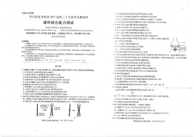 2017届湖北省华大新高考联盟高三2月教学质量测评理科综合试题 PDF版第1页