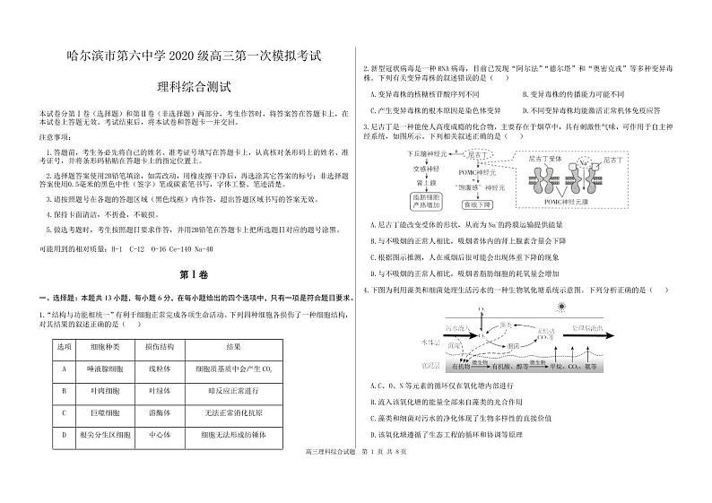 2023届黑龙江省哈尔滨市第六中学校高三下学期第一次模拟考试 理综第1页