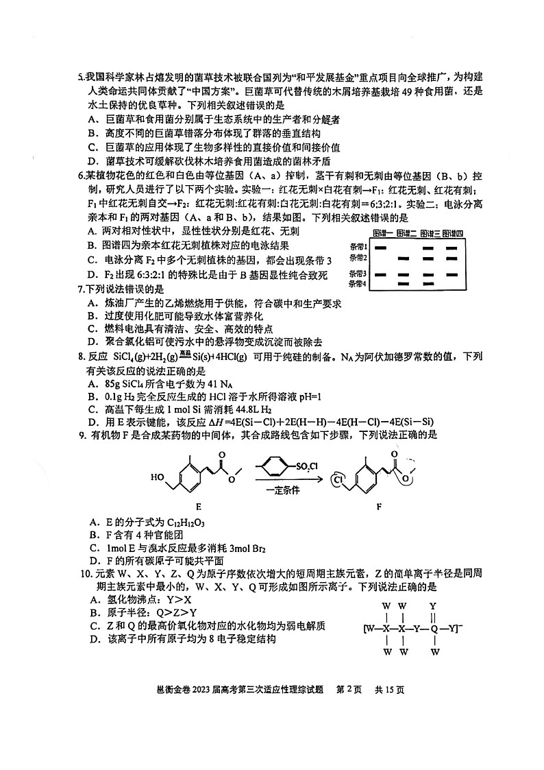 2023届广西邕衡金卷高考第三次适应性考试理综试卷02