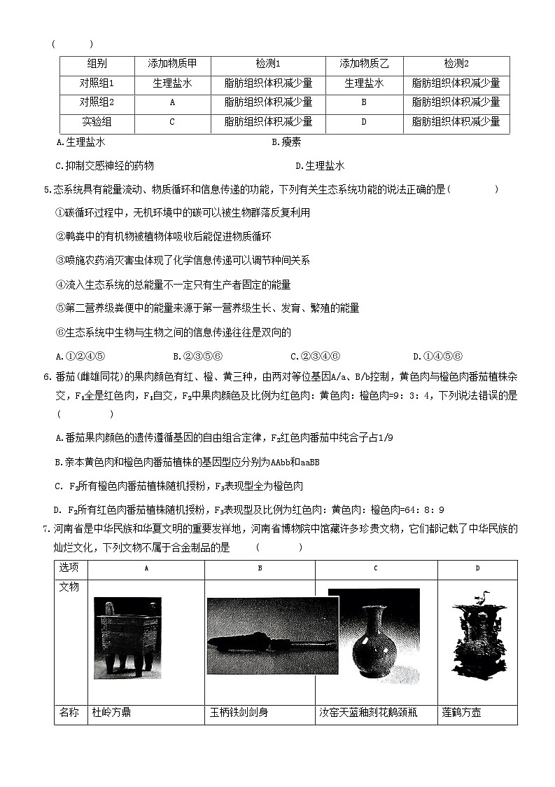 2023届河南省名校青桐鸣大联考高三4月联考理科综合试题第2页