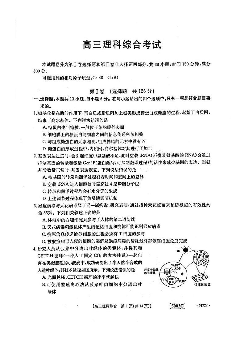 2023届河南省名校联考高三下学期5月最终模拟 理综第1页