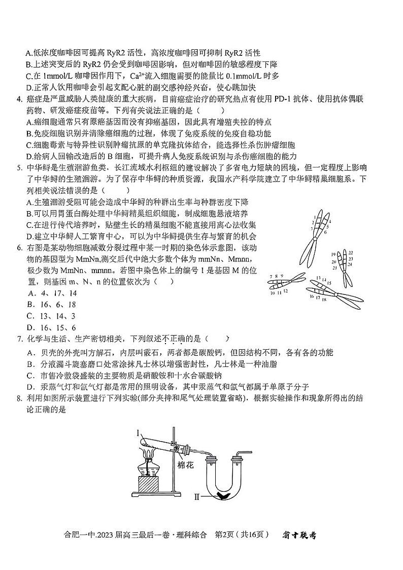 安徽省合肥市第一中学2023届高三最后一卷 理综02